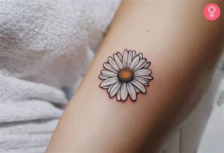 Discover the Allure of Daisy Tattoo Designs