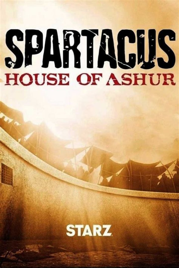 Discover the Enthralling World of "Spartacus" and Its Stellar Cast