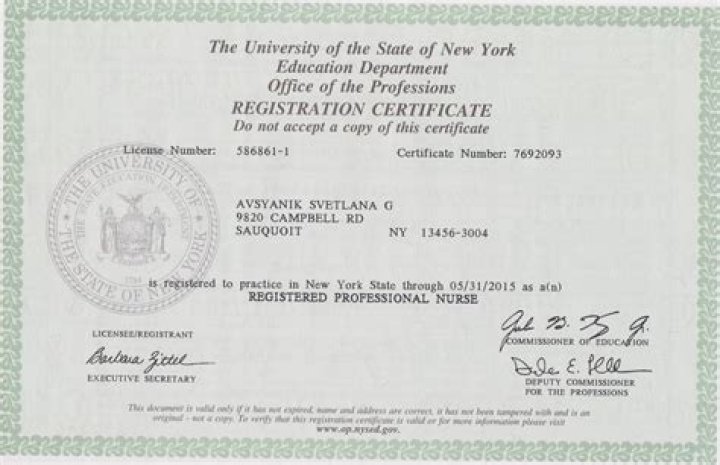 Discover the Office of Professions for New York State