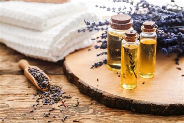 Discover the Ultimate Guide to Lavender Oil Extraction at Home