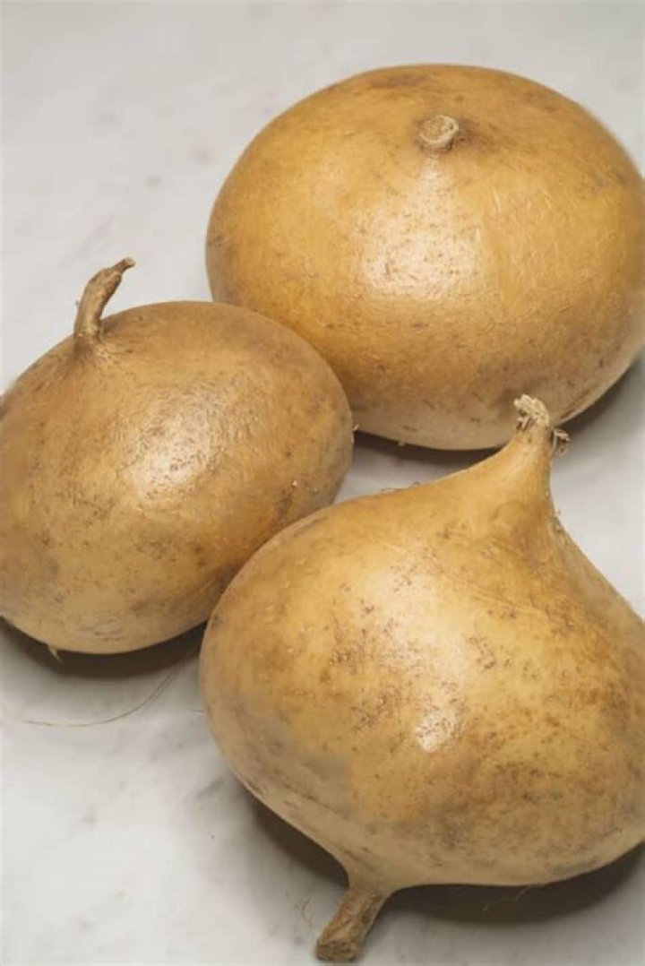 Discover the Unique Taste of Jicama: A Sensory Journey