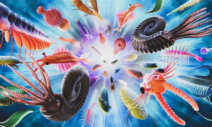Explore the Secrets of Cambrian Beckett: An In-Depth Discovery