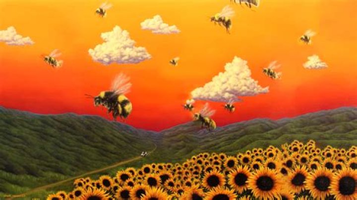 Exploring the Artistic Evolution of King Krule and Tyler, The Creator