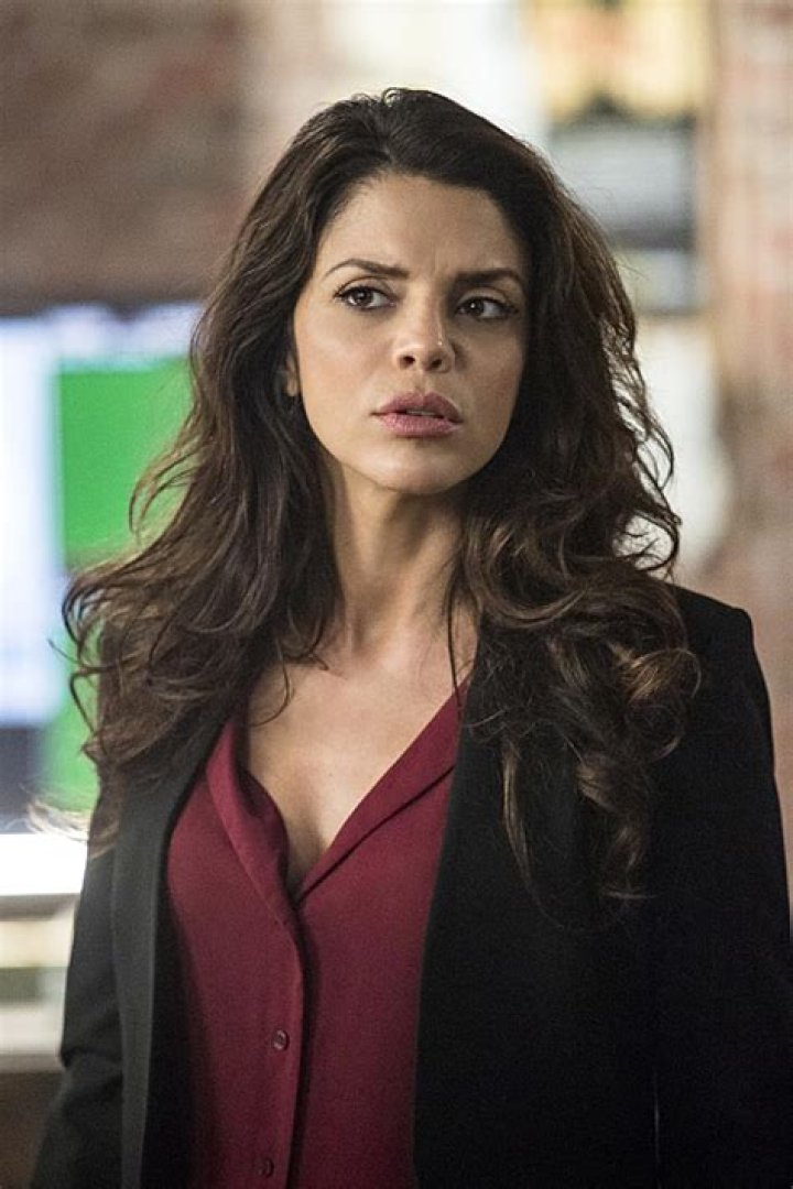 Exploring the Cinematic Legacy of Vanessa Ferlito