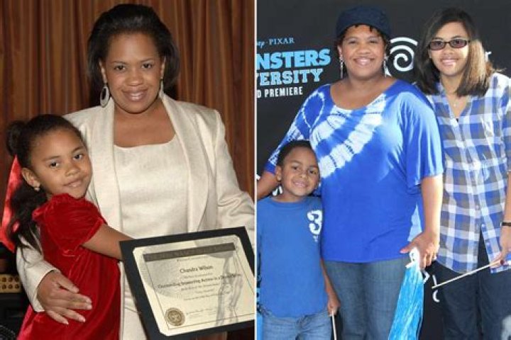 Exploring the Inspiring Journey of Chandra Wilson and Her Family