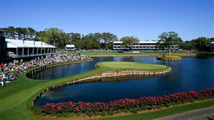 Exploring the Thrilling World of TPC Playoffs in Professional Golf