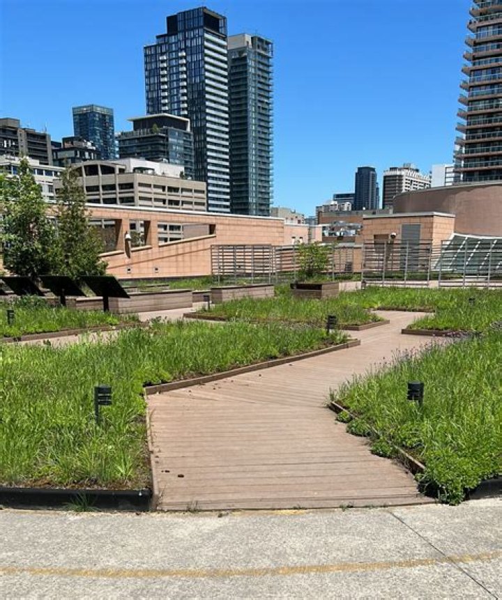 Exploring the Transformative Power of Urban Oases in 2023