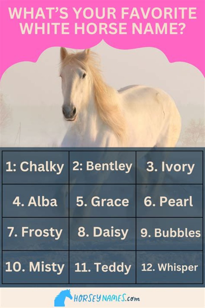 Good Horse Names for White Horses: A Comprehensive Guide to Choosing the Perfect Name