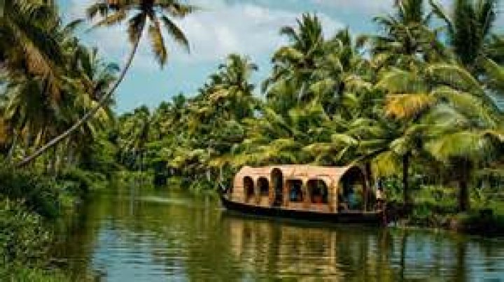 Kerala Y Video: A Comprehensive Guide to Understanding Its Significance