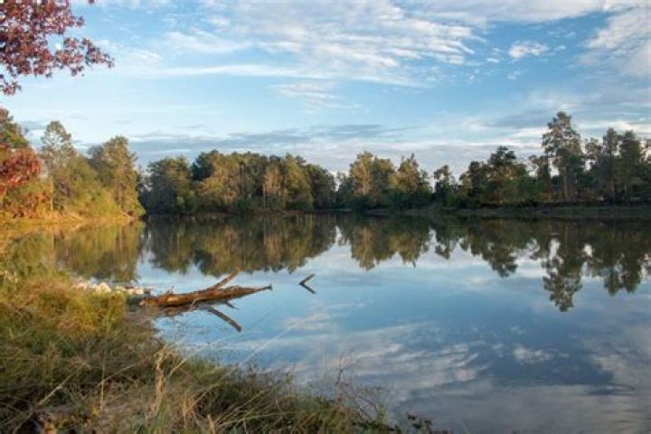 Kickerillo Mischer Preserve: A Comprehensive Guide to Its Rich Heritage and Cultural Impact