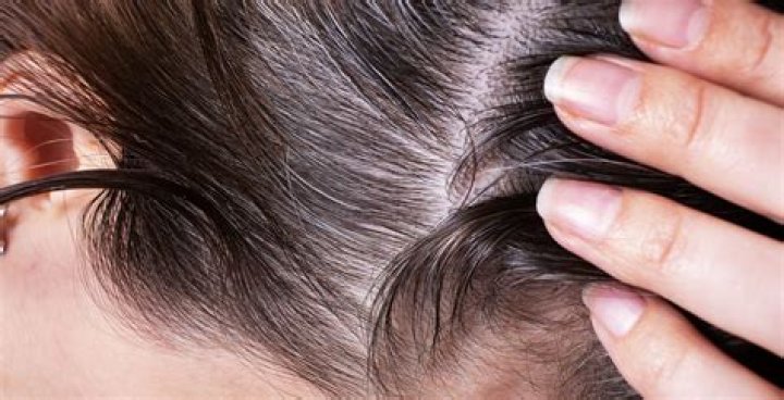 Modern Haircare Solutions: Unlocking the Secrets to Healthy Strands