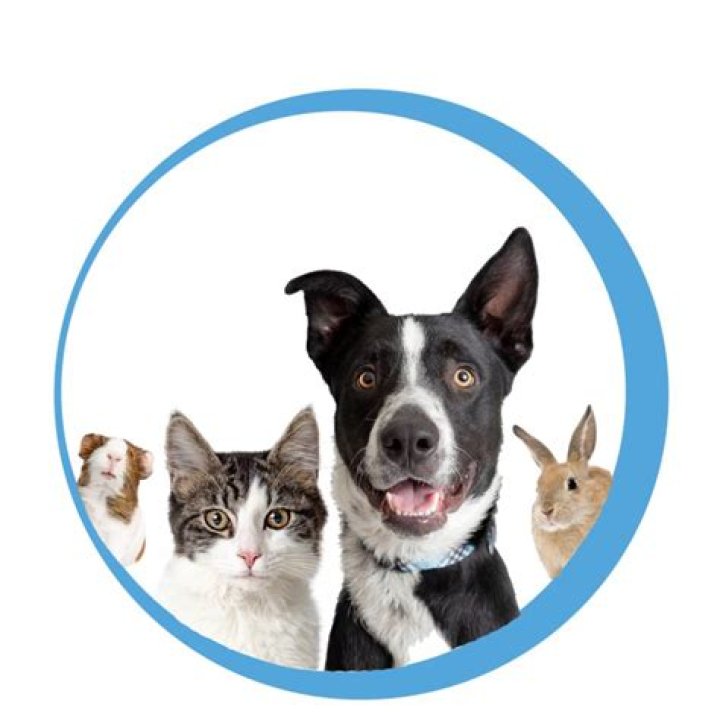 Oshkosh Animal Shelter: A Compassionate Haven for Animals