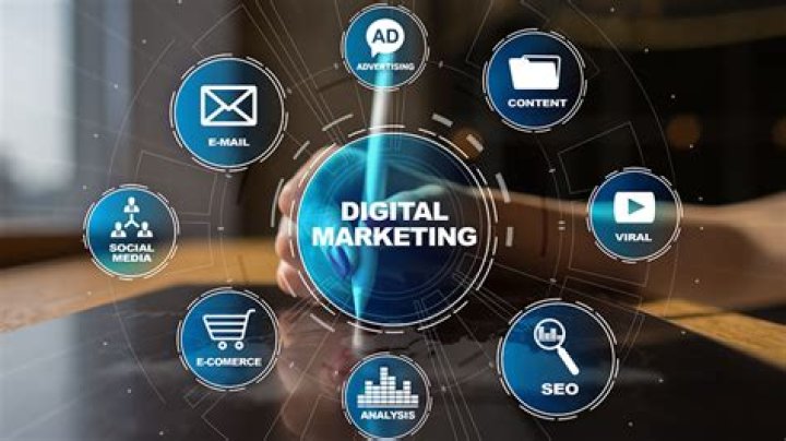 Sam Frank: A Global Sensation in the World of Digital Content
