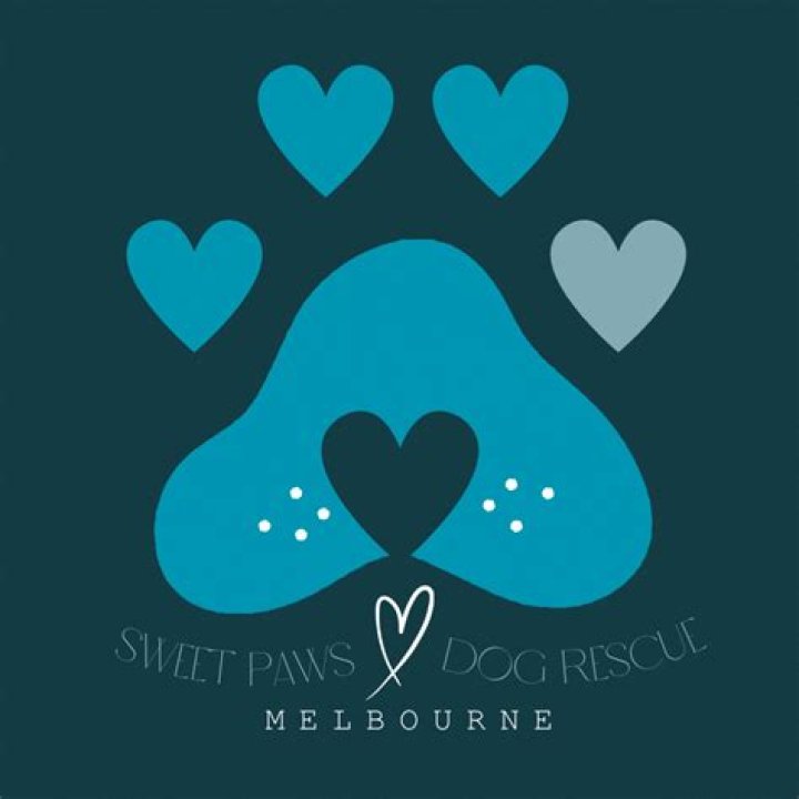 Sweet Paws Rescue: A Lifeline for Furry Friends in Need