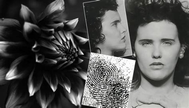 The Black Dahlia Case: A Tragic Mystery That Endures