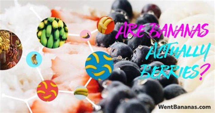 The Truth Behind: Are Bananas Really Berries?