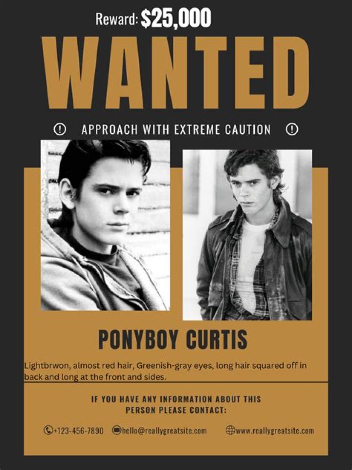 The Ultimate Guide to Ponyboy Curtis: A Comprehensive Character Analysis