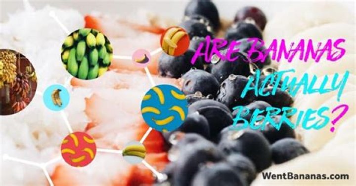 Uncover the Truth: Why Bananas Are Surprisingly Classified as Berries