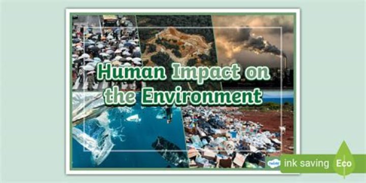 Understanding the Impact of Human Actions on Wildlife: A Call for Responsible Tourism