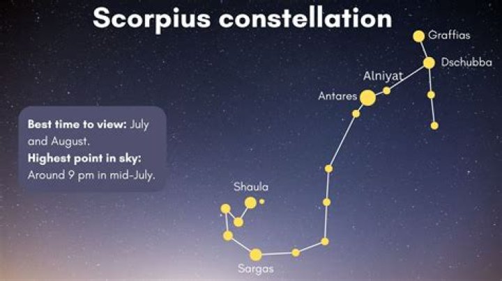 Unveiling the Mystique of Scorpio: A Comprehensive Guide