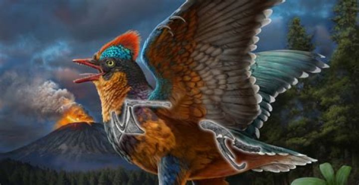 Unveiling the Truth: Is a Bird a Mammal?