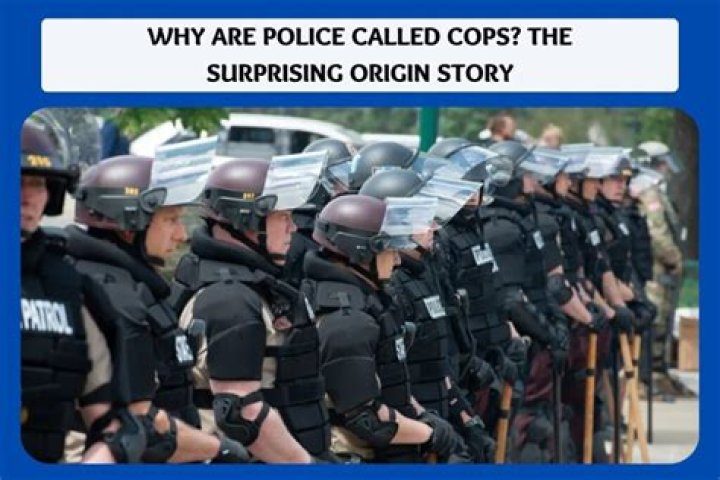 Why Are Police Called "The 12"? A Fascinating Journey Through History and Culture