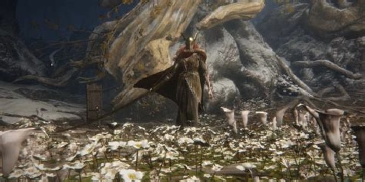 Why Elden Ring's Development Budget Was So Big | Breaking Down the Costs