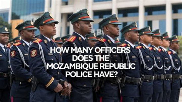 Why is Police Called the 12? Unveiling the Origins and Meaning